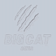 bigcatcues's avatar