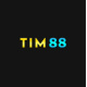 tim88art's avatar