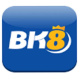 bk8press's avatar