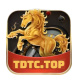 tdtc02a's avatar