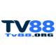 tv88org's avatar