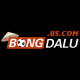 bongdaluus's avatar