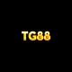 tg88ca's avatar