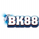 bk88li's avatar