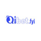 qibetfyi's avatar
