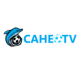 caheowiki's avatar
