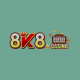8k8promo's avatar