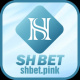 shbetpink's avatar