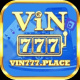 vin777place's avatar