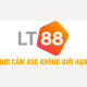 lt88icu's avatar