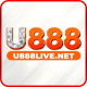 u888livenet's avatar