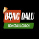 bongdalucoach's avatar