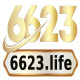 6623life's avatar