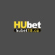 hubet18co's avatar