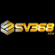 sv368vs's avatar