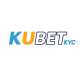 kubetkyc's avatar
