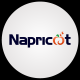 napricot's avatar