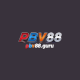 pbv88's avatar