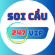 soicau247vipfl's avatar