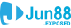 jun88exposed's avatar