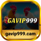 gavip999cam's avatar