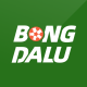bongdalubr's avatar