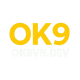 ok9vndev's avatar
