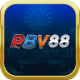 pbv883e's avatar