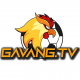 gavangtvinfo's avatar