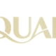 vaquariusvangian's avatar