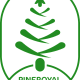 pineroyalbio's avatar