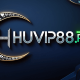 conggamehuvip88's avatar