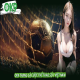 okchinvnd's avatar