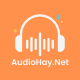 audiohaynet's avatar