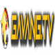gavangtvvn's avatar