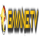 gavangtvqb's avatar