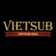 vietsubasia's avatar