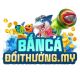 bancadoithuongmy's avatar
