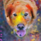 Mariusz's avatar