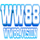 wwvision's avatar