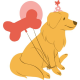 bestgoldenfood's avatar