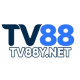tv88ynet's avatar