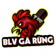 blvgarungcom's avatar