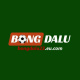 bongdalu23eucom's avatar