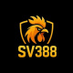 dagasv388biz1's avatar