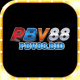 pbv88bid2's avatar