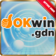 okwingdn's avatar