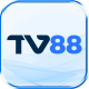 Itelvncom's avatar