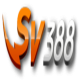 sv388today's avatar