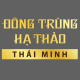 dongtrunghathaothaiminh's avatar